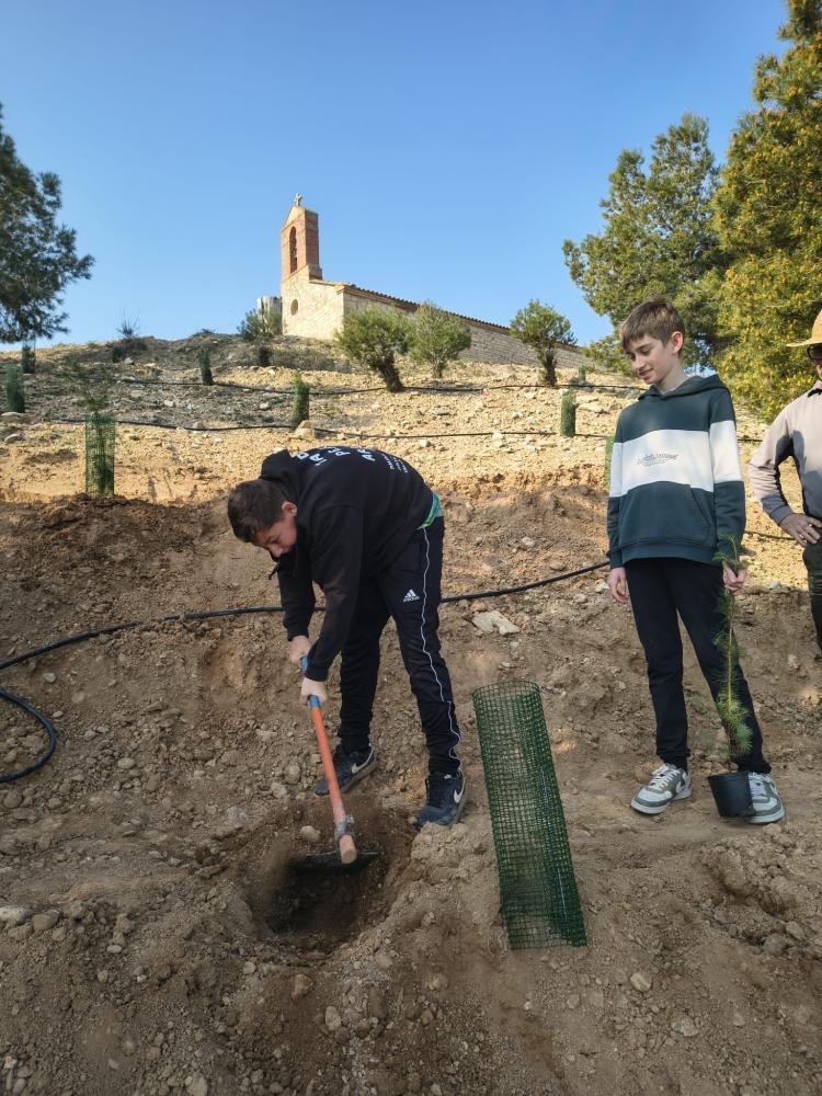 Imagen Alumnos de Zaidín reforestan la ladera de San Antón